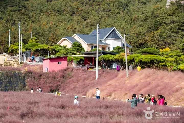 꽃객프로젝트 야외 경관 참고사진 실제 사진