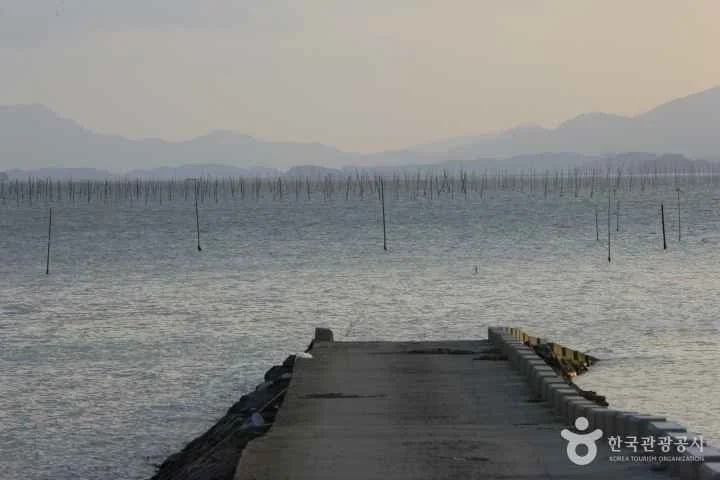 마량미항 야외 경관 참고사진 실제 사진