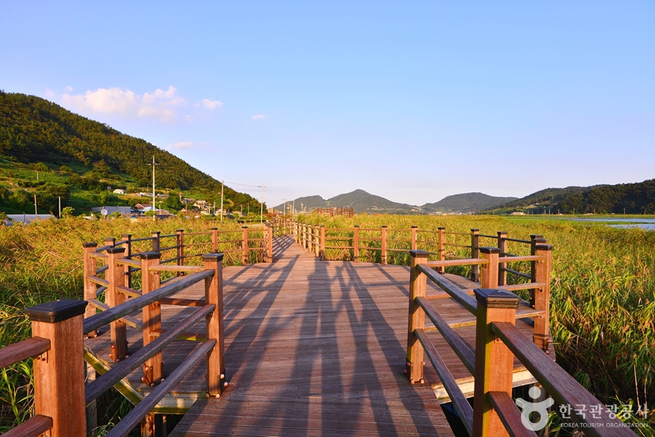 여수 가사리 생태공원 경관·시설 참고사진 · 확인된 산책 동선 아님 실제 사진