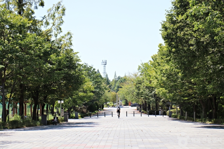 중앙체육공원 경관·시설 참고사진 · 확인된 산책 동선 아님 실제 사진