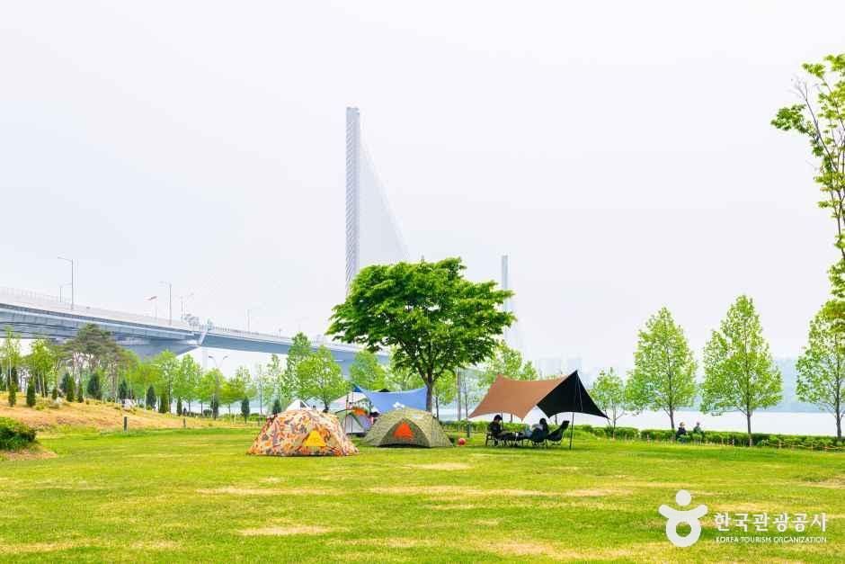 구리한강시민공원(코스모스공원) 실제 장소 경관 참고사진 · 전체 제안 경로 사진 아님 실제 사진 ()