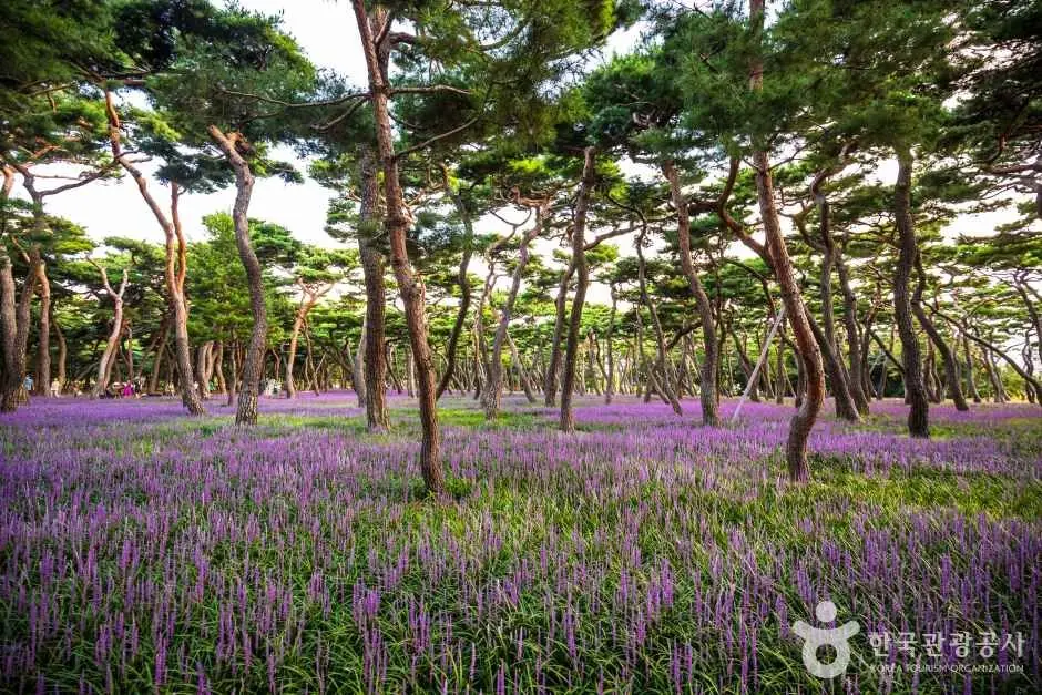 황성공원 공식 관광자료 제공 사진 장소 사진