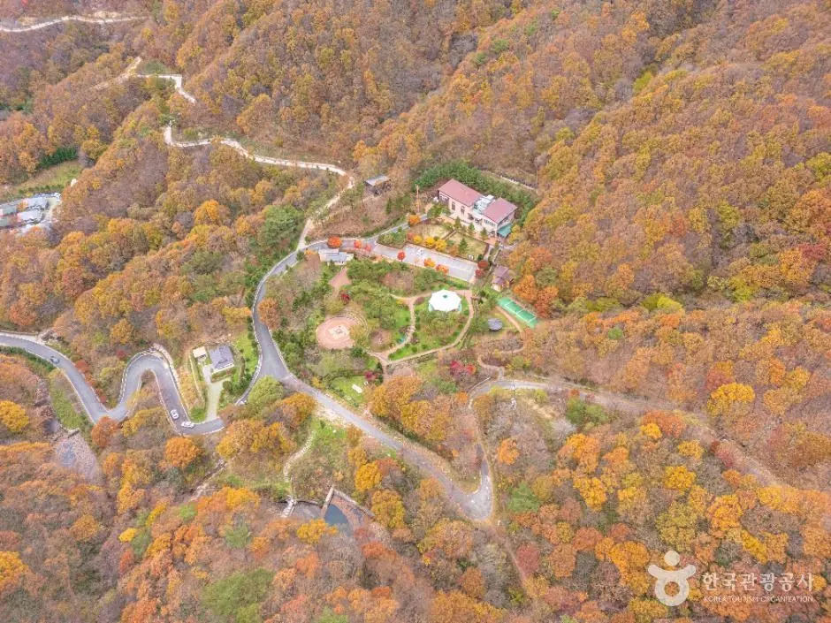 데미샘자연휴양림 공식 관광자료 제공 사진 장소 사진