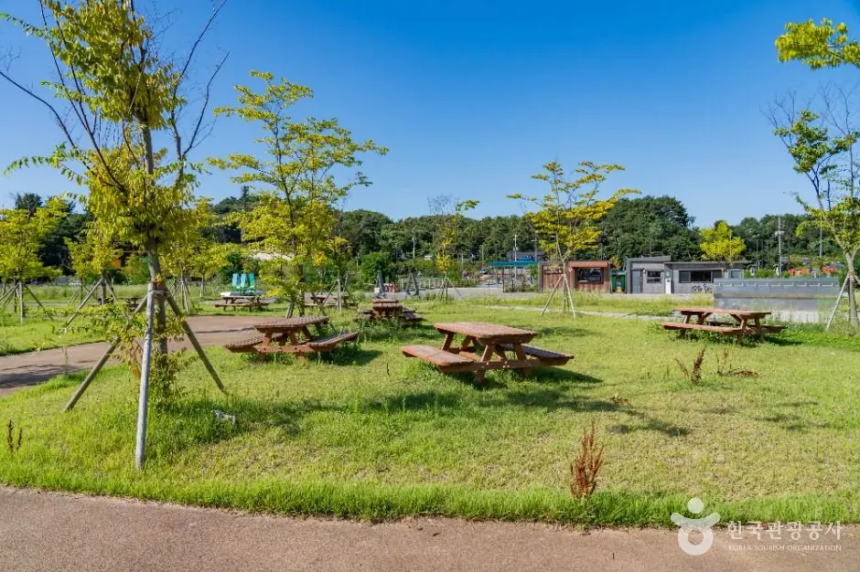 궁평관광지 공식 관광자료 제공 사진 장소 사진