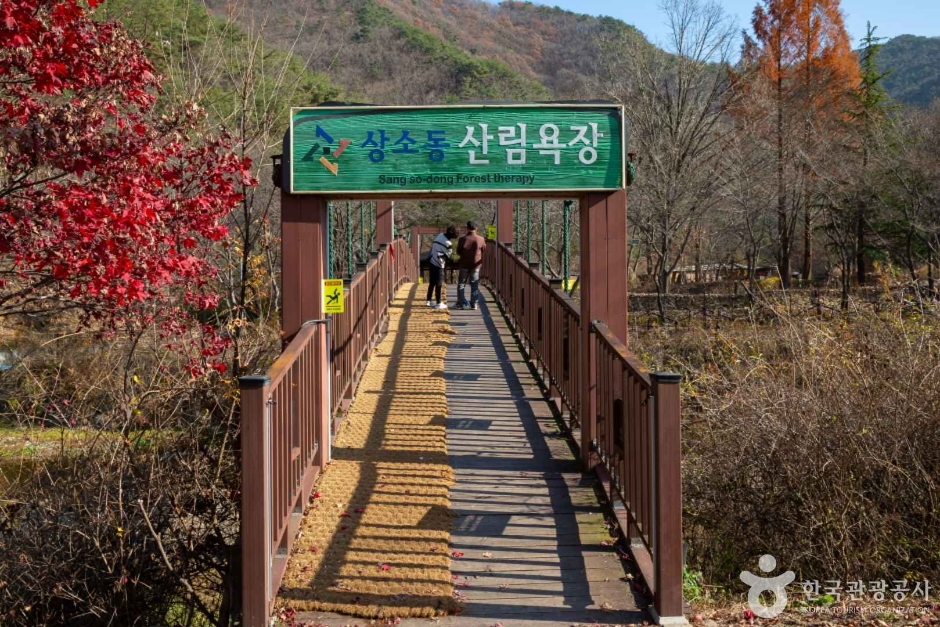 상소동 산림욕장 공식 관광자료 제공 사진 실제 사진