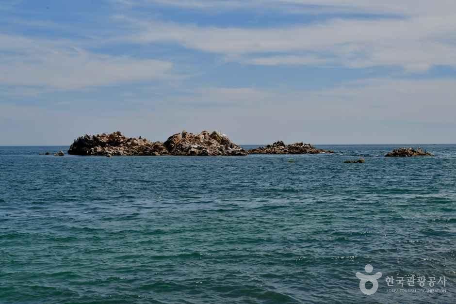 경주 문무대왕릉 공식 관광자료 제공 사진 실제 사진