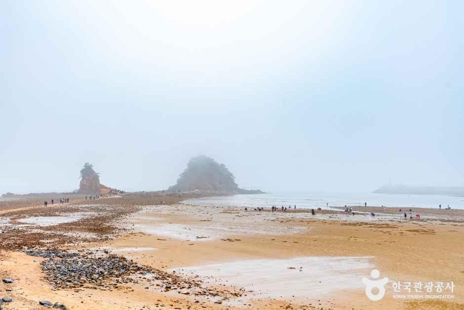 꽃지해수욕장 공식 관광자료 제공 사진 실제 사진