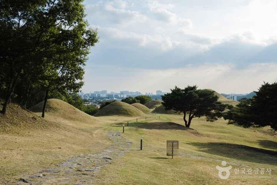 대구 불로동 고분군 공식 관광자료 제공 사진 실제 사진