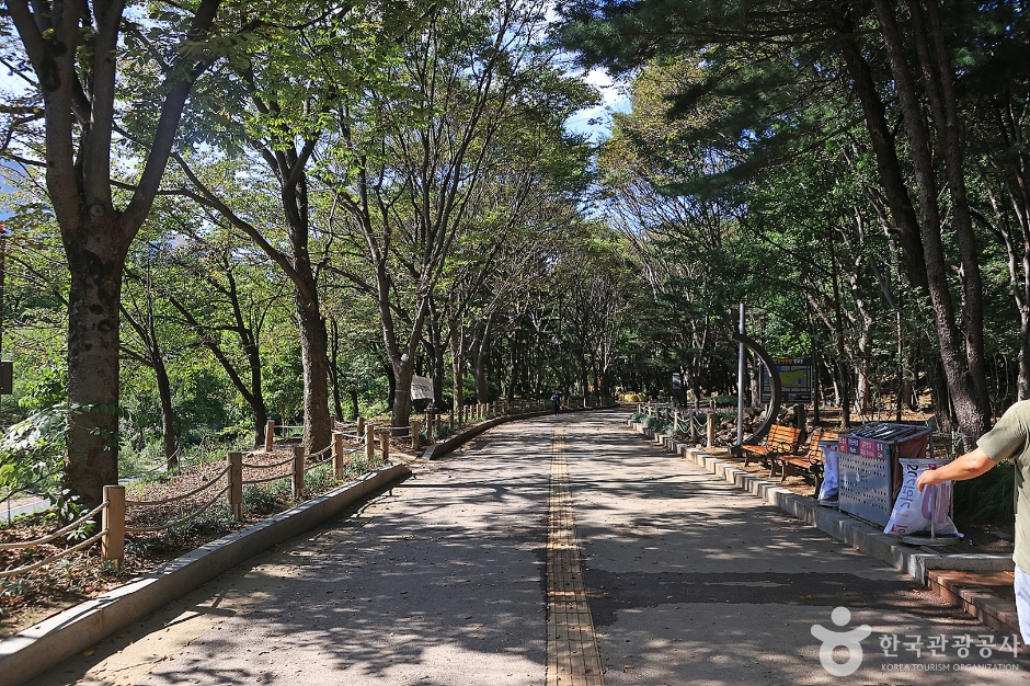 성남 중앙공원 공식 관광자료 제공 사진 실제 사진