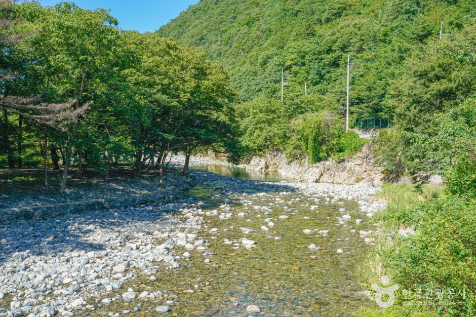 배내골 공식 관광자료 제공 사진 실제 사진