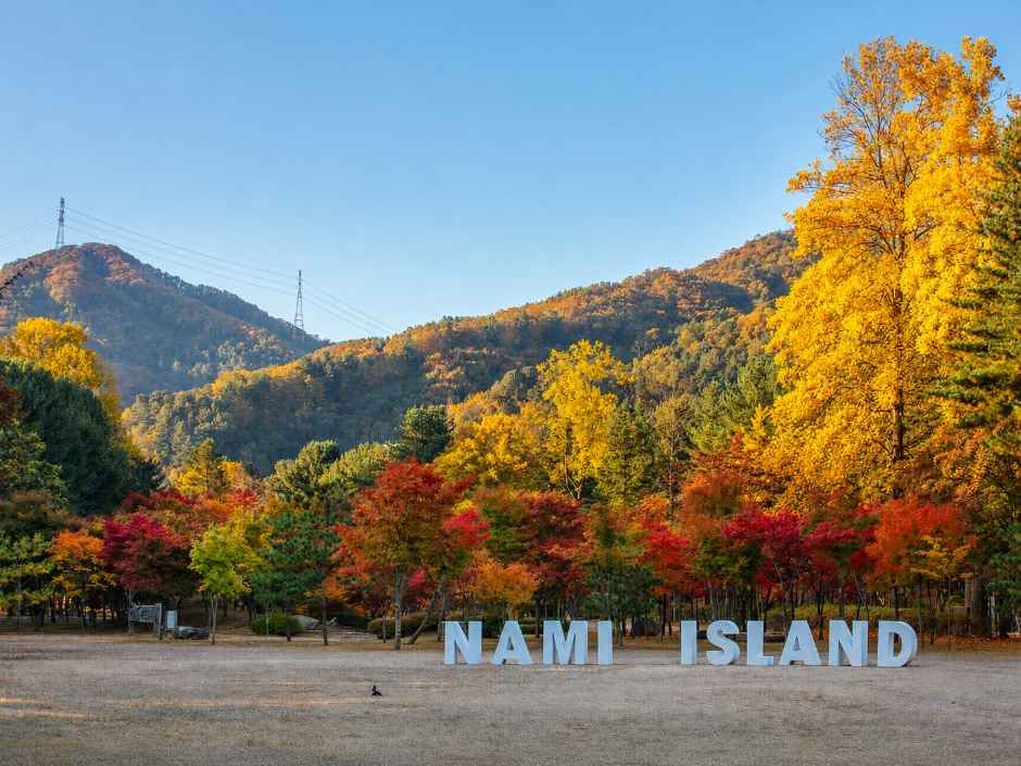 남이섬 공식 관광자료 제공 사진 실제 사진