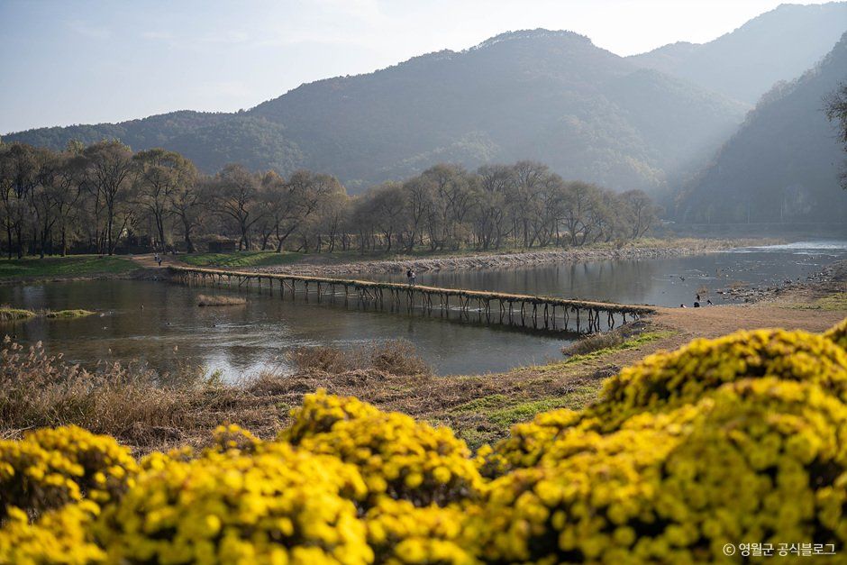 영월 섶다리 마을 공식 관광자료 제공 사진 실제 사진