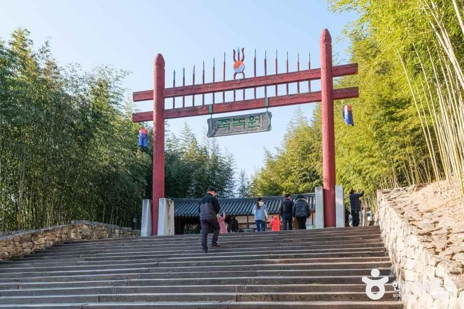 죽녹원 공식 관광자료 제공 사진 실제 사진