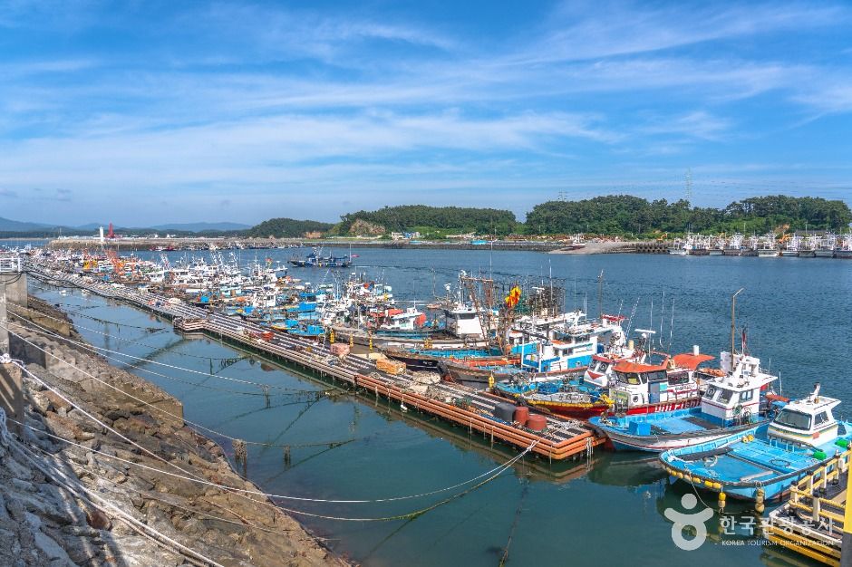 홍원항 공식 관광자료 제공 사진 실제 사진
