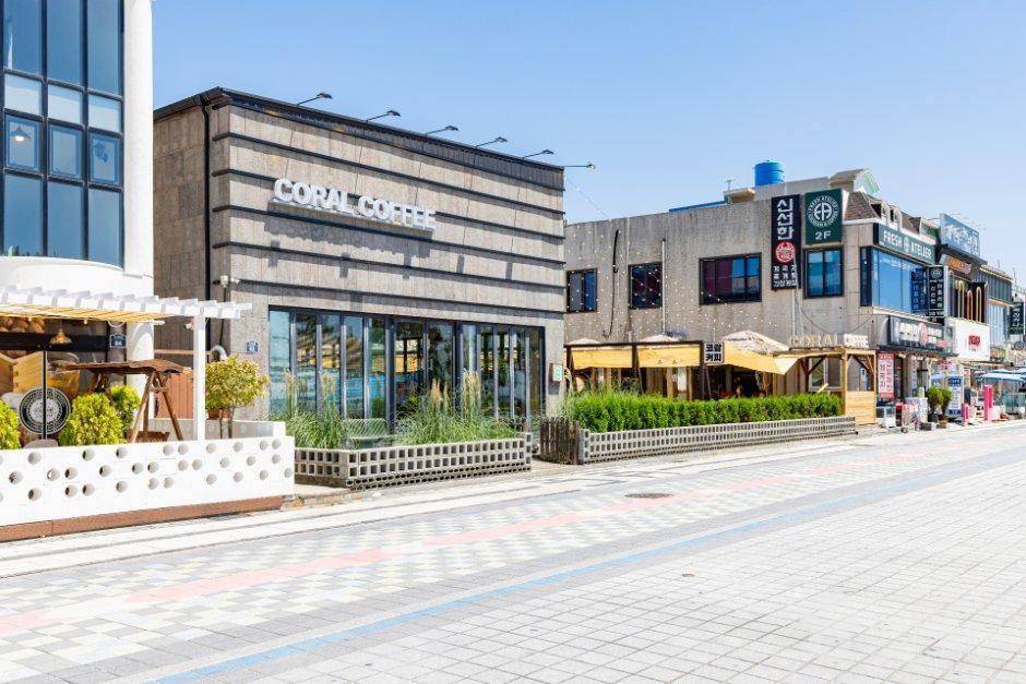 코랄커피 공식 관광자료 제공 사진 실제 사진