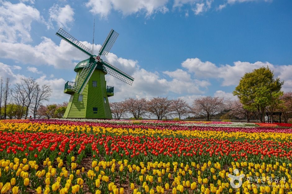 순천만국가정원 공식 관광자료 제공 사진