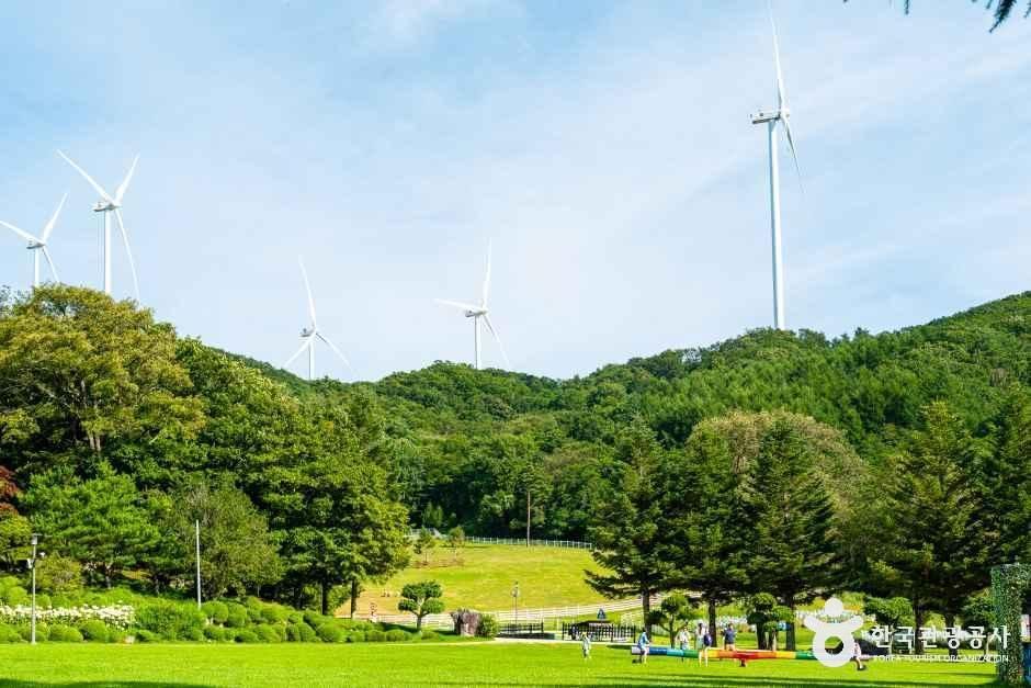 대관령 하늘목장 공식 관광자료 제공 사진 실제 사진