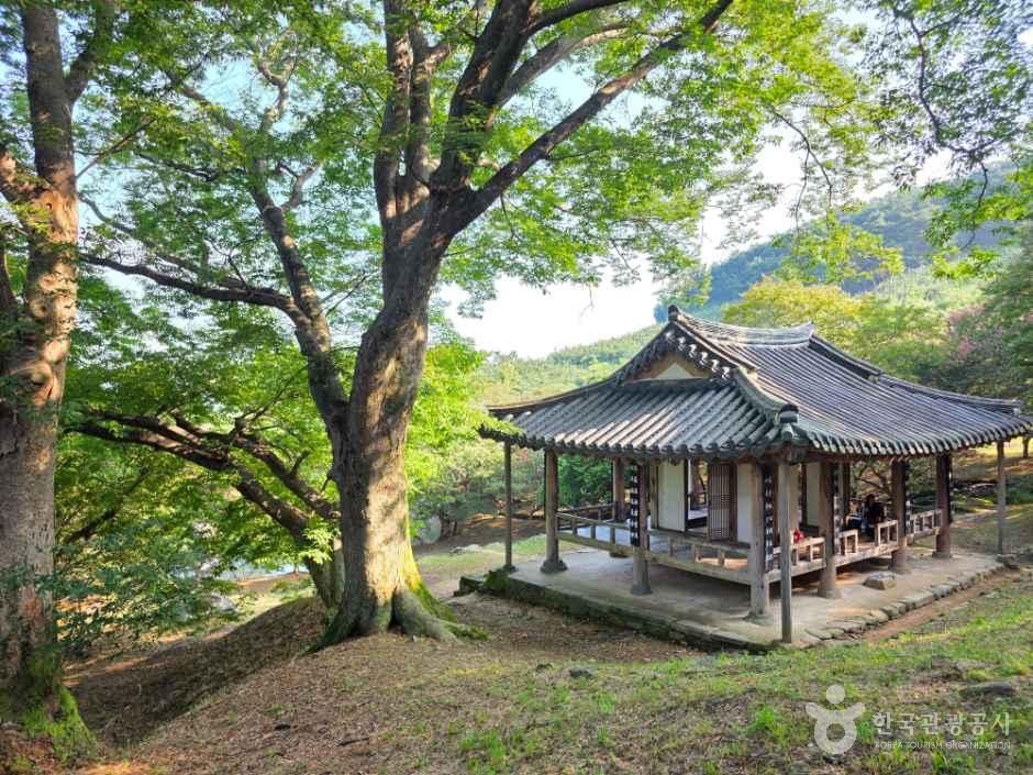 담양 명옥헌 원림 공식 관광자료 제공 사진 실제 사진