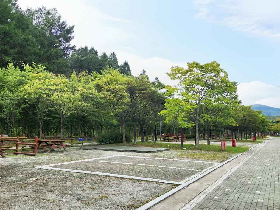 김천부항댐 산내들 오토캠핑장 공식 관광자료 제공 사진 실제 사진