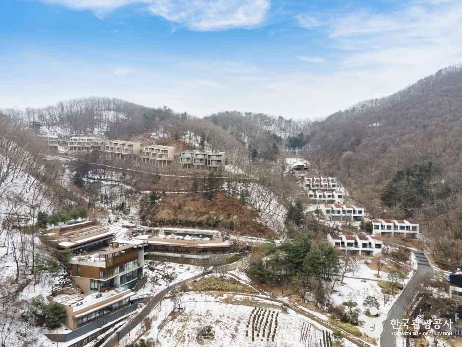 힐리언스 선마을 공식 관광자료 제공 사진 실제 사진