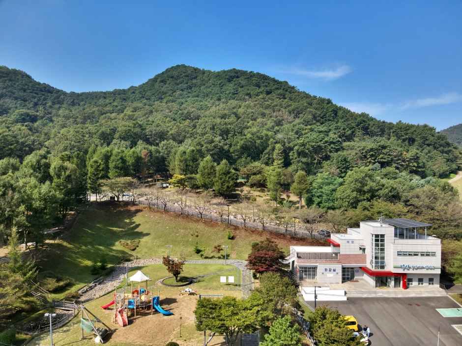 덕산국민여가캠핑장 공식 관광자료 제공 사진 실제 사진