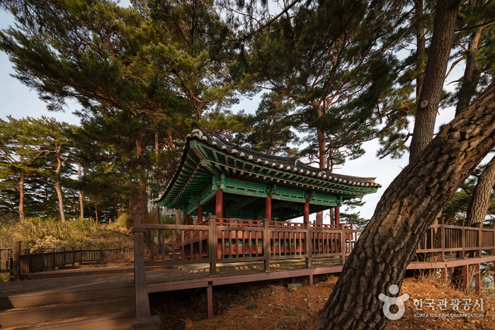 죽도정·죽도 전망대 공식 관광자료 제공 사진 실제 사진