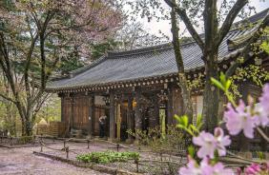 호텔정관루별관(콘도별장) 공식 관광자료 제공 사진 실제 사진