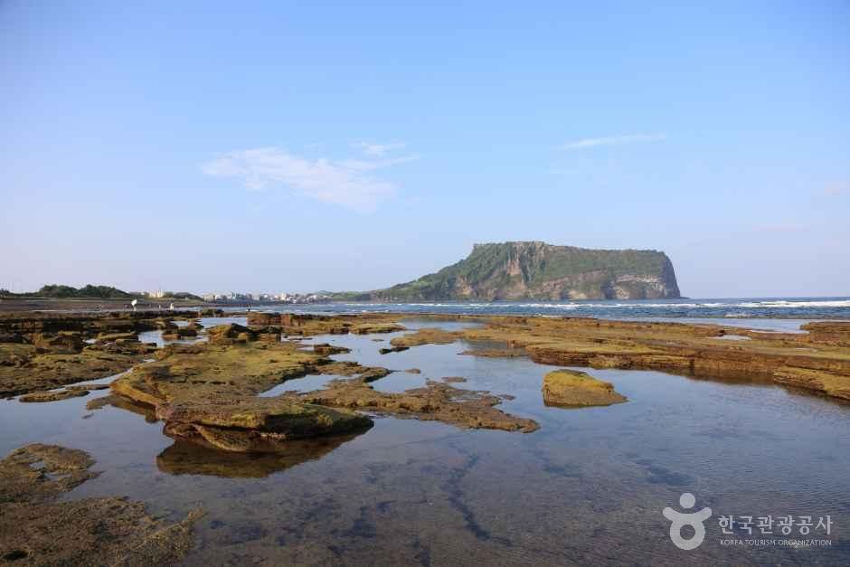 광치기해변 공식 관광자료 제공 사진 실제 사진
