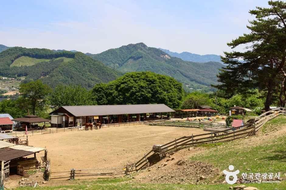 해피초원목장 공식 관광자료 제공 사진 실제 사진