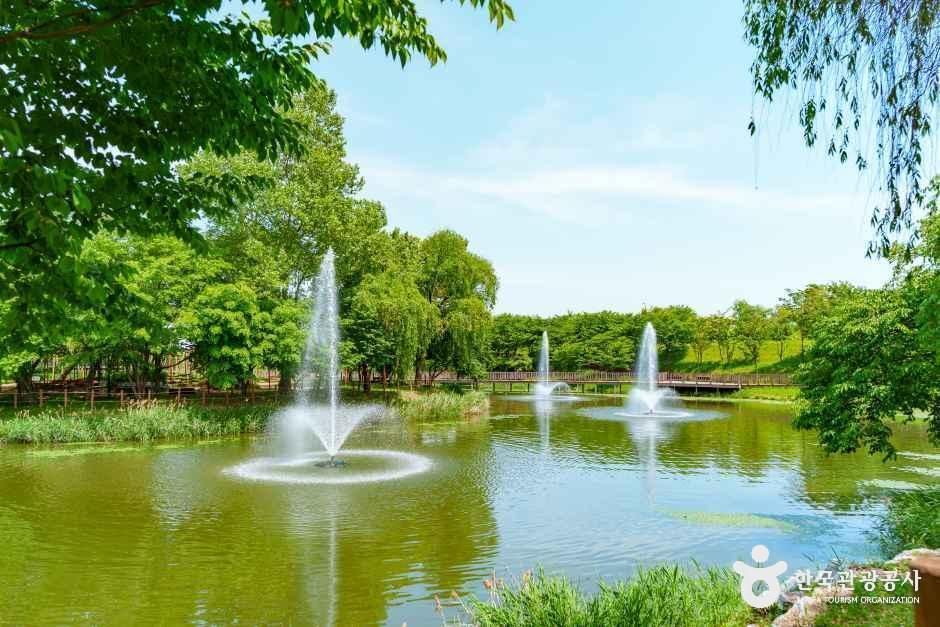 바람새마을 소풍정원 공식 관광자료 제공 사진 실제 사진