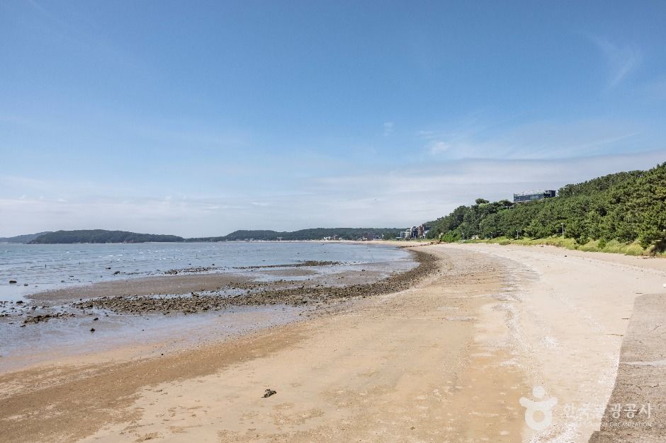 영종도 마시안해변 공식 관광자료 제공 사진 실제 사진