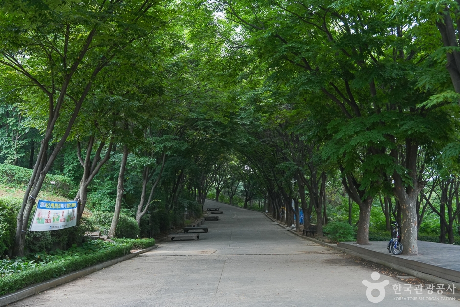 계양산 둘레길 공식 관광자료 제공 사진 실제 사진