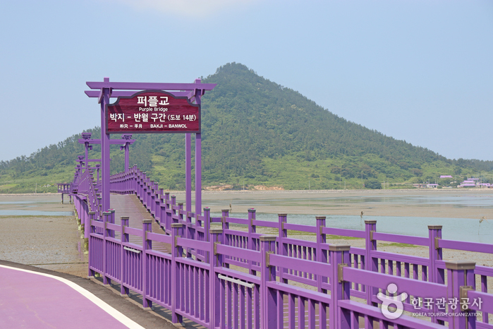 퍼플교 공식 관광자료 제공 사진 실제 사진