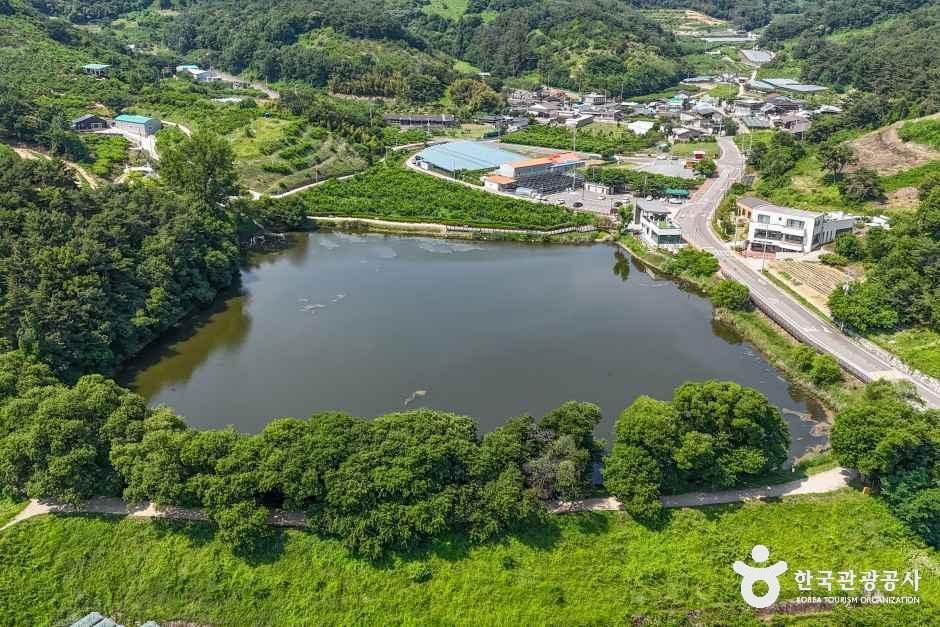 반곡지 공식 관광자료 제공 사진 실제 사진