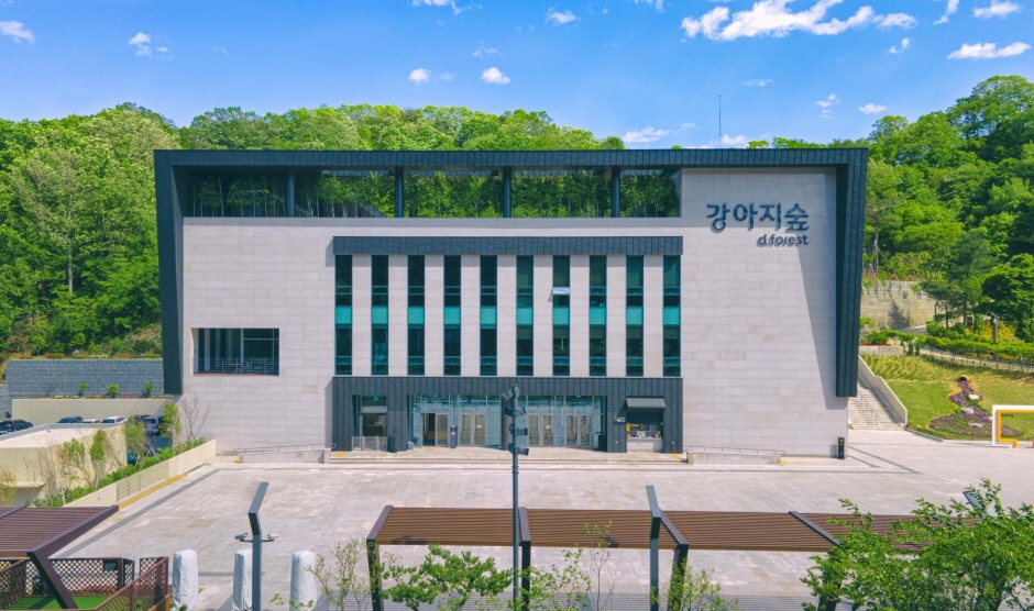 강아지숲 공식 관광자료 제공 사진 실제 사진