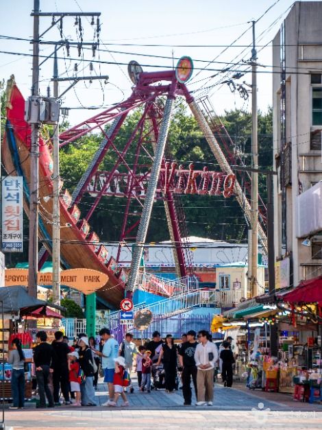 삽교호놀이동산 공식 관광자료 제공 사진 실제 사진