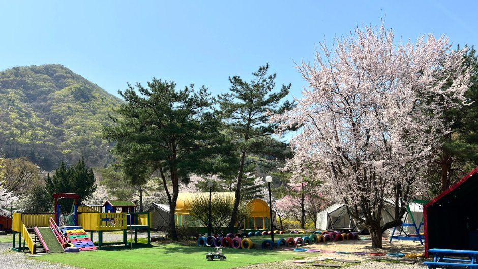 보리산캠핑장 공식 관광자료 제공 사진 실제 사진