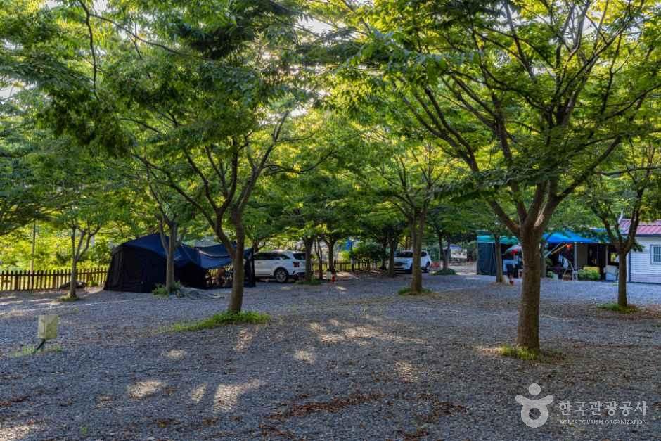 굼벵이캠핑장 공식 관광자료 제공 사진 실제 사진