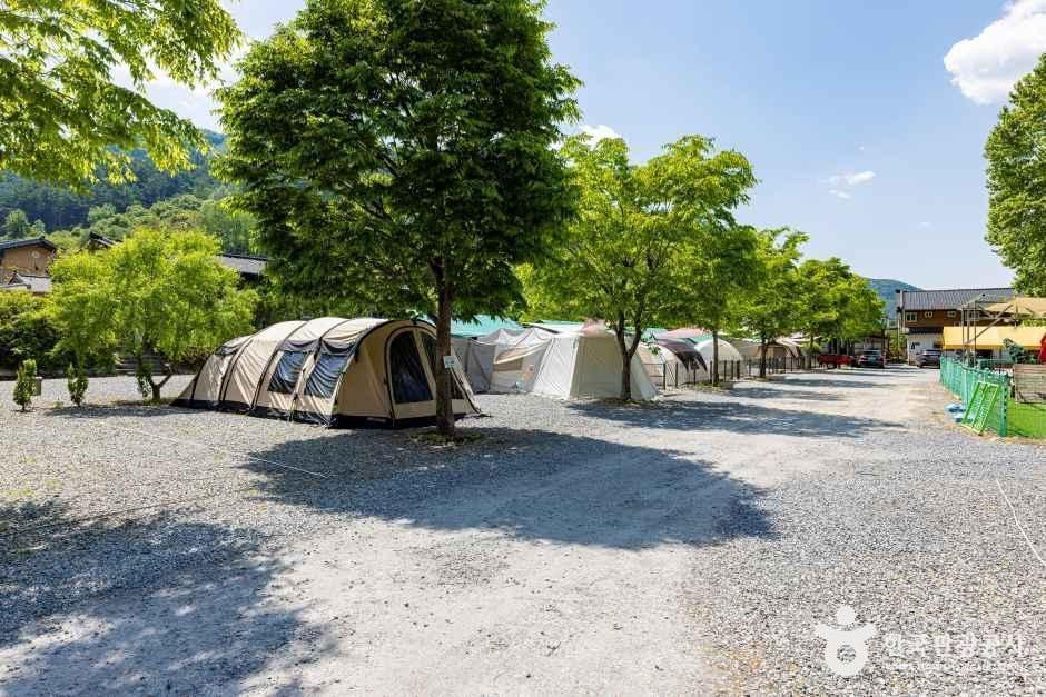 제천패밀리오토캠핑장 공식 관광자료 제공 사진 실제 사진