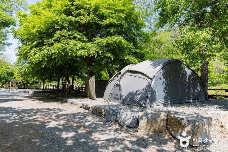 용두산오토캠핑장 공식 관광자료 제공 사진 실제 사진