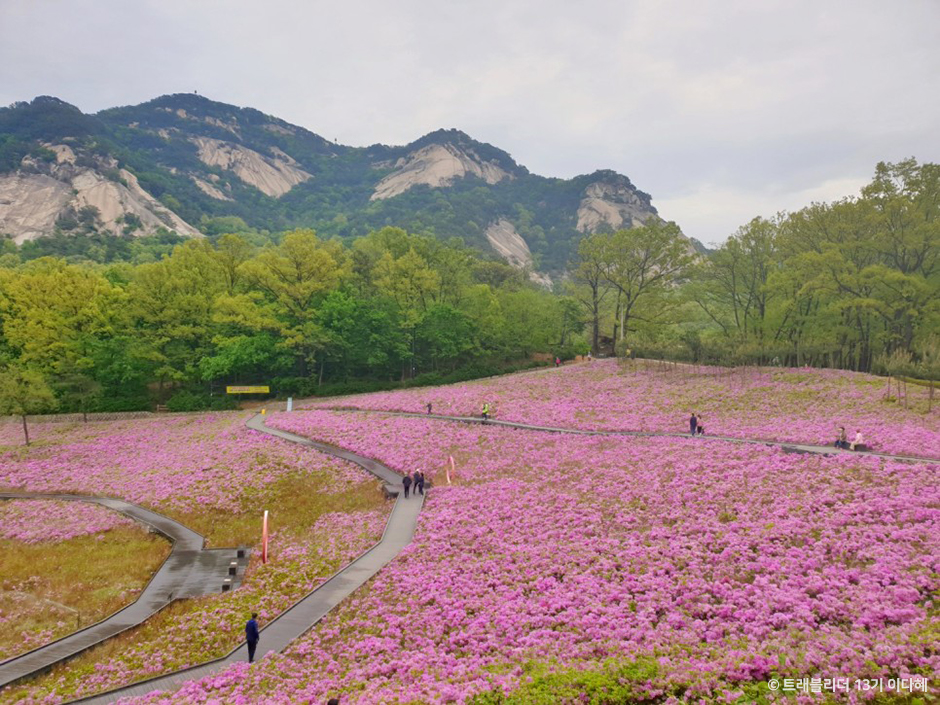불암산나비정원 공식 관광자료 제공 사진 실제 사진