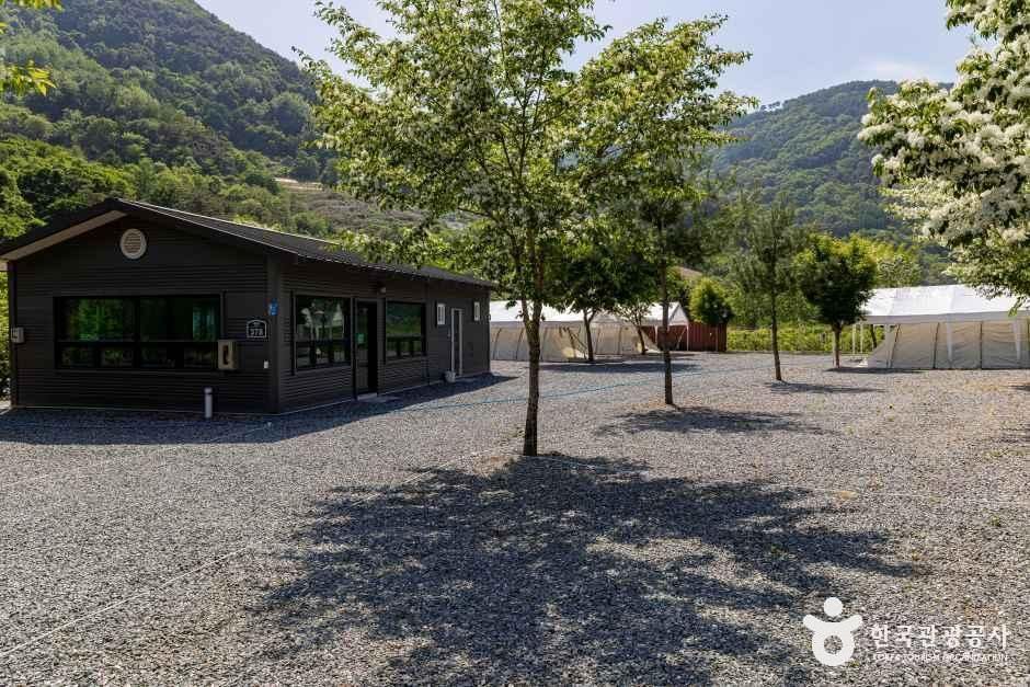 소백산오토캠핑장 공식 관광자료 제공 사진 실제 사진