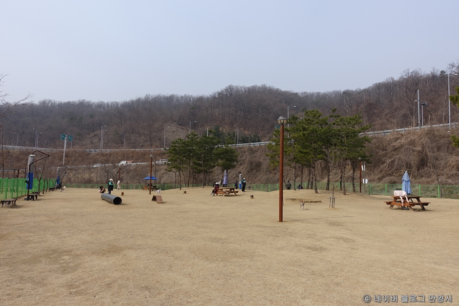 삼막애견공원 공식 관광자료 제공 사진 실제 사진