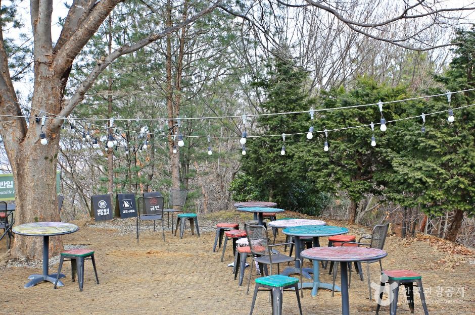게으른악어 공식 관광자료 제공 사진 실제 사진