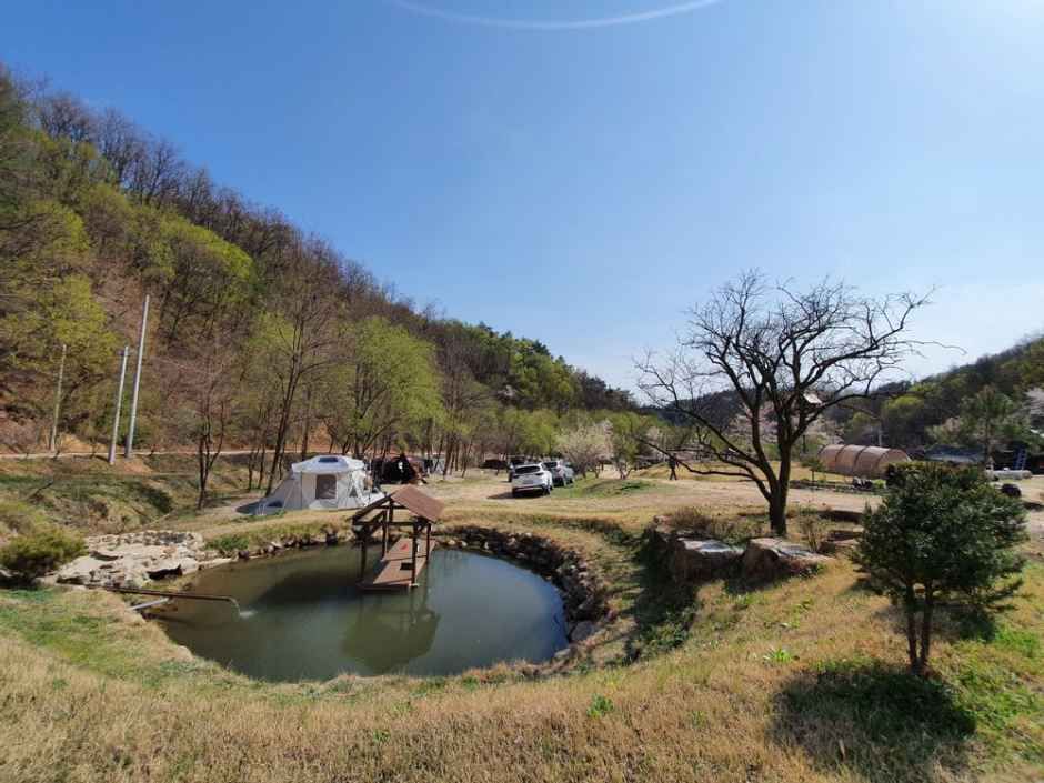 숲속캠핑장 공식 관광자료 제공 사진 실제 사진