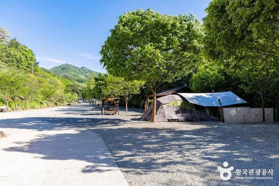 별밤펜션 캠핑장 공식 관광자료 제공 사진 실제 사진