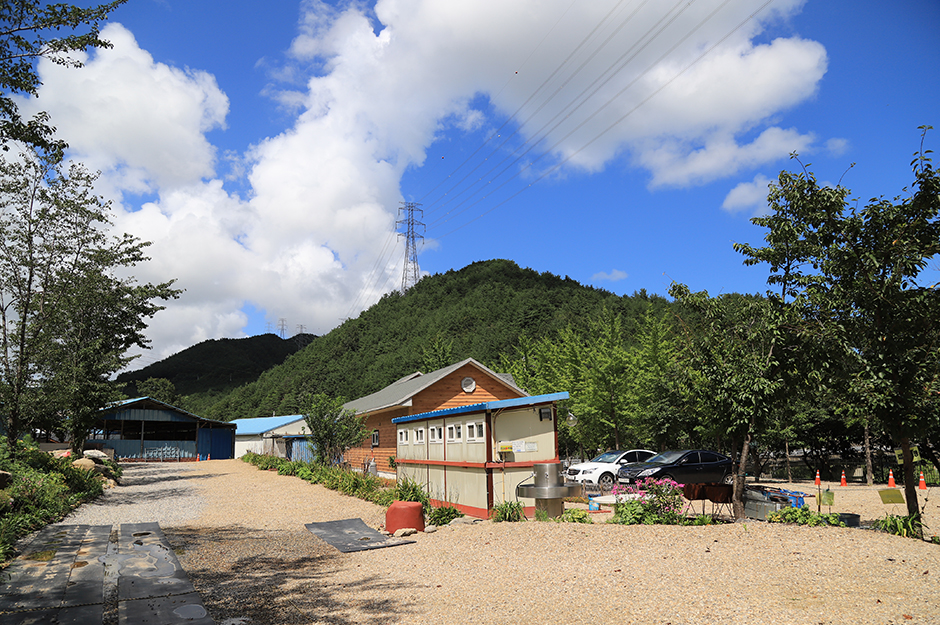 동막골캠핑장 공식 관광자료 제공 사진 실제 사진