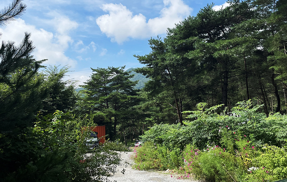 별빛캠핑장 공식 관광자료 제공 사진 실제 사진