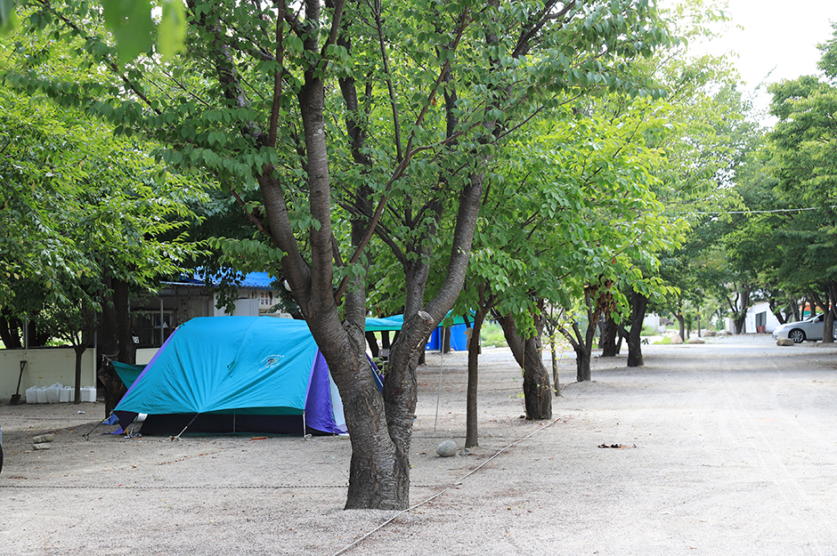 돌배야영장(제1야영장) 공식 관광자료 제공 사진 실제 사진