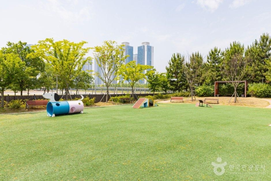 송도 도그파크 공식 관광자료 제공 사진 실제 사진